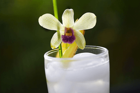 Fresh Lemongrass Ginger Ale