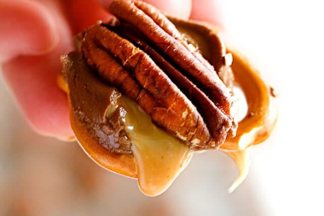 Rolo Pretzel Turtles Recipe