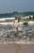 dianeinthewaves_small.jpg