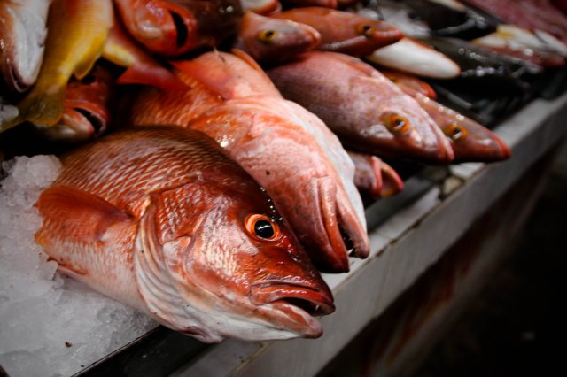 zihuatanjoredsnapper.jpg